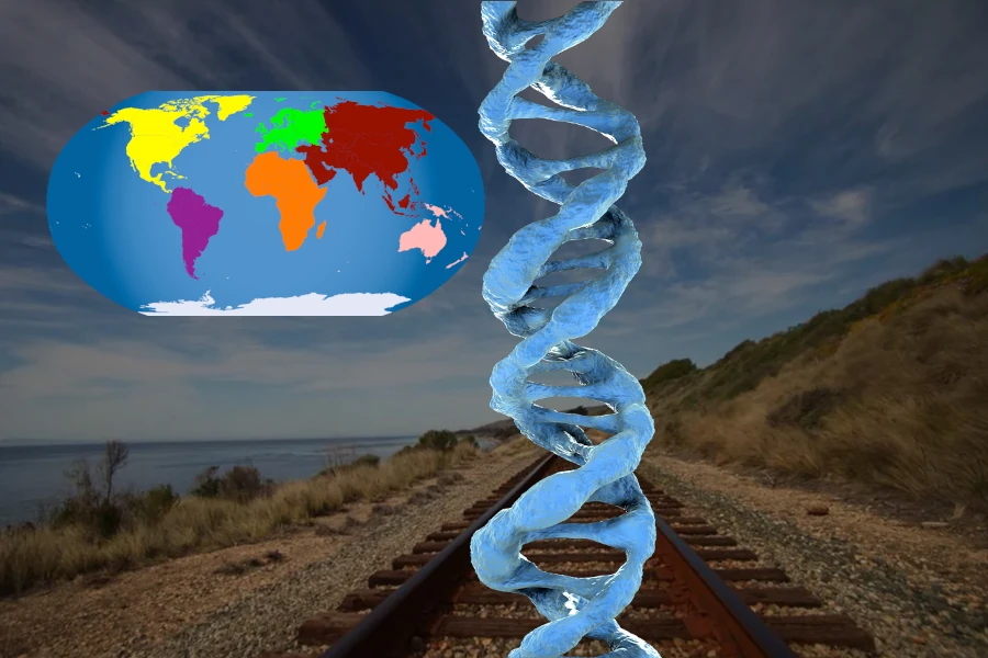 Oppdag røttene dine med våre profesjonelle slektsforskertjenester